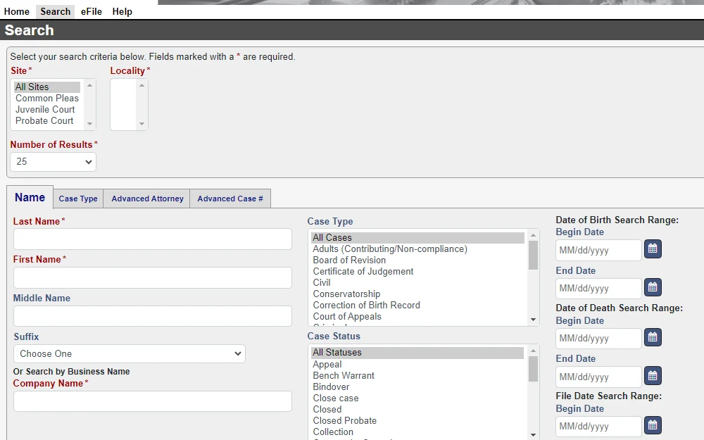 A screenshot of the Online public access portal made available by the Marion County Clerk of Courts that can be searched either by name, by case type, by providing the attorney's information, or through the advanced case number option.